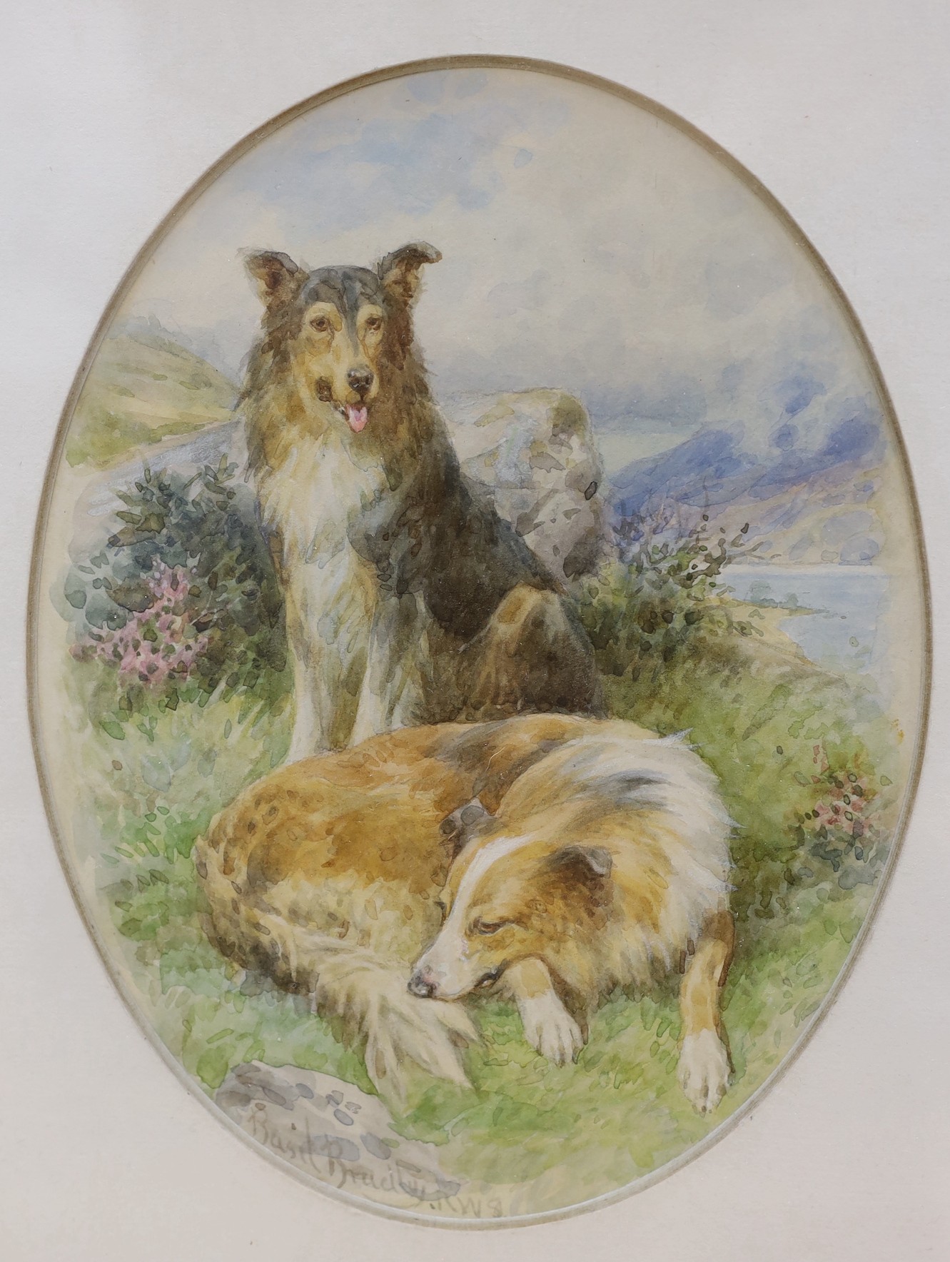 Basil Bradley (1842-1904), watercolour, Collies, signed, 22.5 x 17cm